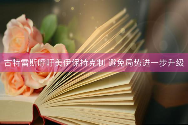 古特雷斯呼吁美伊保持克制 避免局势进一步升级