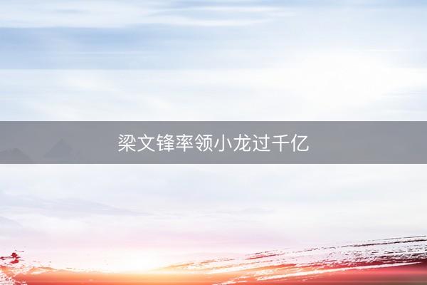 梁文锋率领小龙过千亿