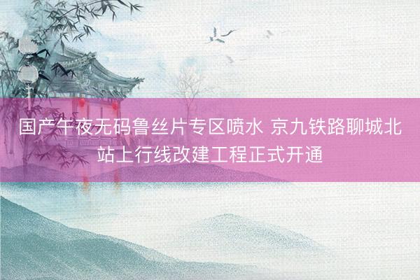 国产午夜无码鲁丝片专区喷水 京九铁路聊城北站上行线改建工程正式开通