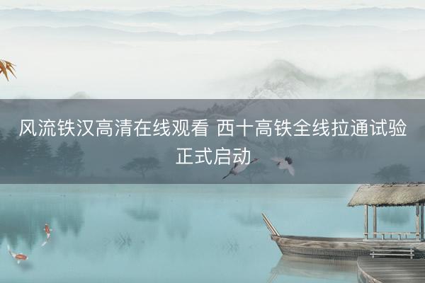 风流铁汉高清在线观看 西十高铁全线拉通试验正式启动