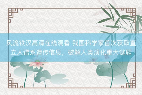 风流铁汉高清在线观看 我国科学家首次获取直立人谱系遗传信息,破解人类演化重大谜题
