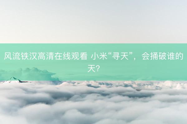 风流铁汉高清在线观看 小米“寻天”，会捅破谁的天？