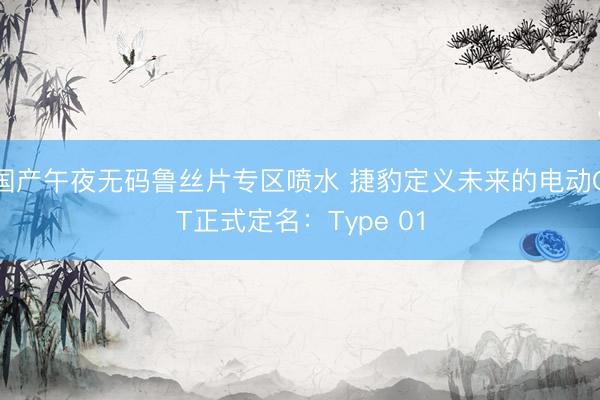 国产午夜无码鲁丝片专区喷水 捷豹定义未来的电动GT正式定名：Type 01