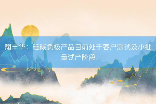 翔丰华：硅碳负极产品目前处于客户测试及小批量试产阶段