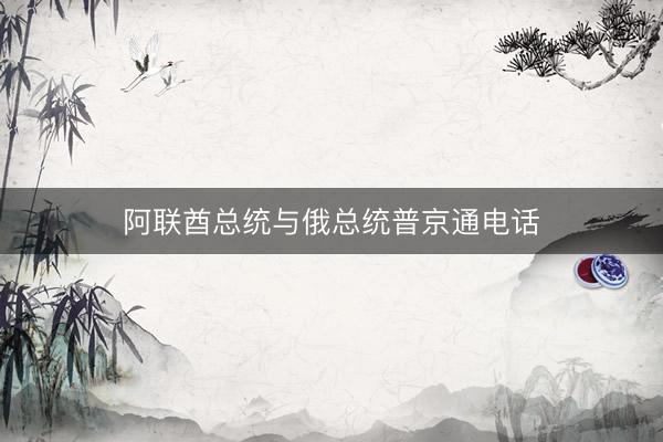 阿联酋总统与俄总统普京通电话