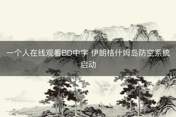 一个人在线观看BD中字 伊朗格什姆岛防空系统启动