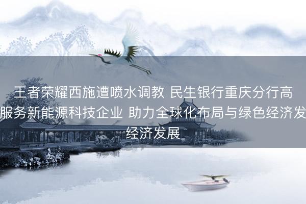 王者荣耀西施遭喷水调教 民生银行重庆分行高效服务新能源科技企业 助力全球化布局与绿色经济发展