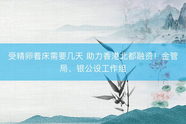 受精卵着床需要几天 助力香港北都融资!金管局、银公设工作组