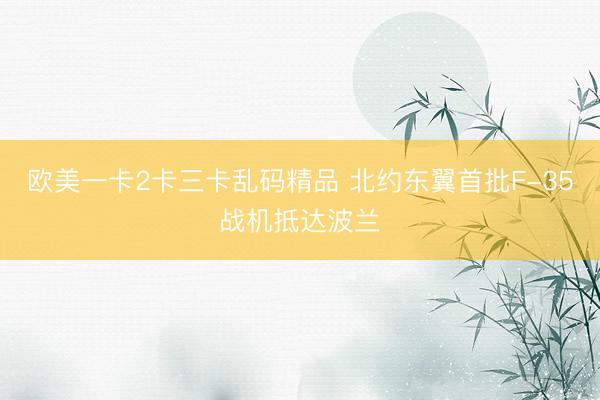 欧美一卡2卡三卡乱码精品 北约东翼首批F-35战机抵达波兰