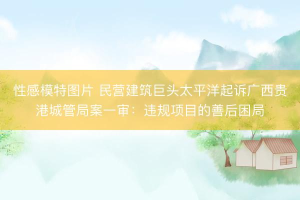 性感模特图片 民营建筑巨头太平洋起诉广西贵港城管局案一审:违规项目的善后困局