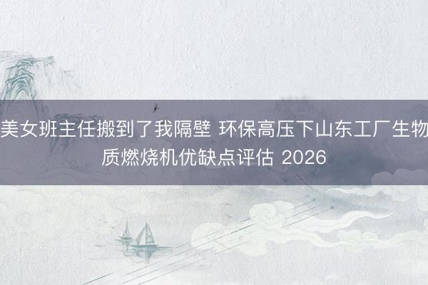 美女班主任搬到了我隔壁 环保高压下山东工厂生物质燃烧机优缺点评估 2026