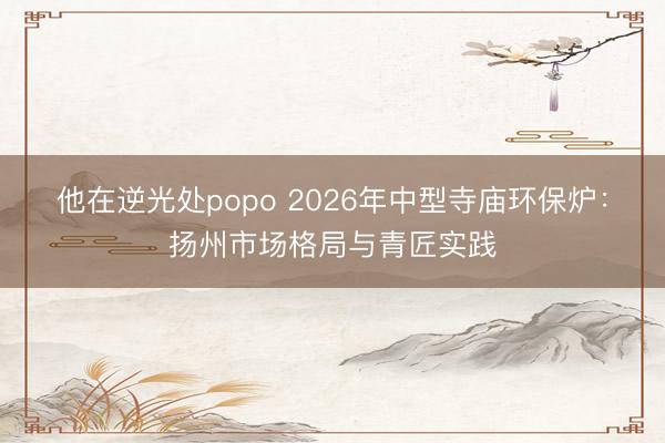 他在逆光处popo 2026年中型寺庙环保炉：扬州市场格局与青匠实践