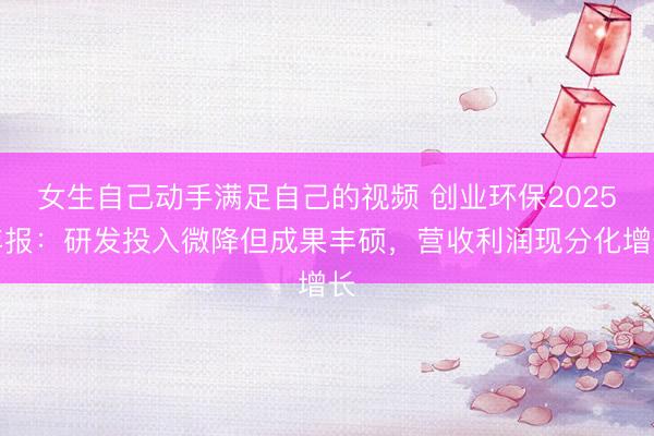 女生自己动手满足自己的视频 创业环保2025年报：研发投入微降但成果丰硕，营收利润现分化增长