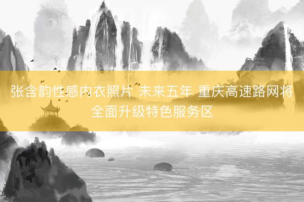 张含韵性感内衣照片 未来五年 重庆高速路网将全面升级特色服务区