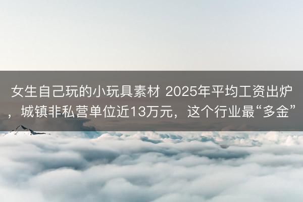 女生自己玩的小玩具素材 2025年平均工资出炉，城镇非私营单位近13万元，这个行业最“多金”