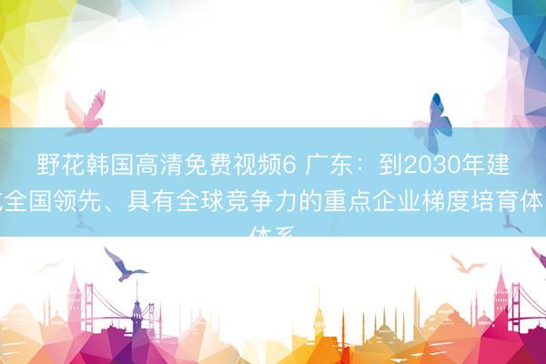 野花韩国高清免费视频6 广东：到2030年建成全国领先、具有全球竞争力的重点企业梯度培育体系