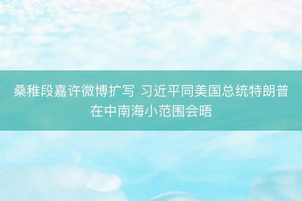 桑稚段嘉许微博扩写 习近平同美国总统特朗普在中南海小范围会晤