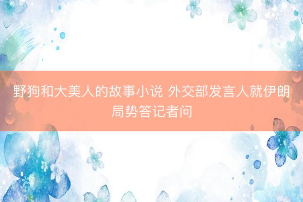 野狗和大美人的故事小说 外交部发言人就伊朗局势答记者问