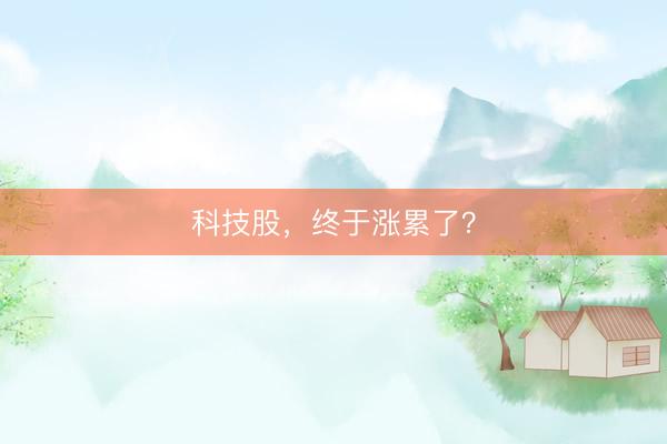科技股，终于涨累了？