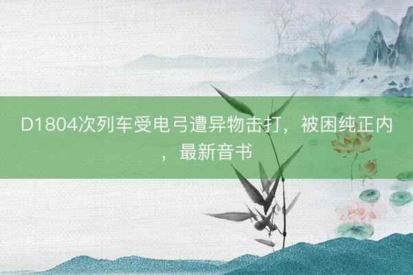 D1804次列车受电弓遭异物击打，被困纯正内，最新音书