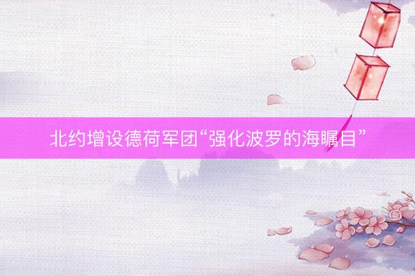 北约增设德荷军团“强化波罗的海瞩目”