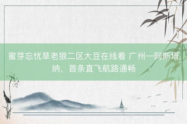 蜜芽忘忧草老狼二区大豆在线看 广州—阿斯塔纳，首条直飞航路通畅