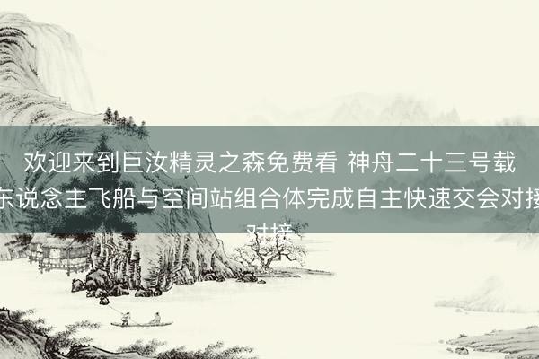 欢迎来到巨汝精灵之森免费看 神舟二十三号载东说念主飞船与空间站组合体完成自主快速交会对接