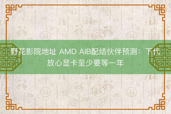野花影院地址 AMD AIB配结伙伴预测：下代放心显卡至少要等一年