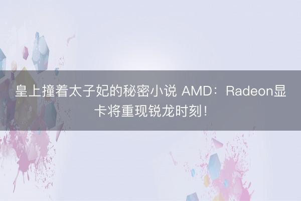 皇上撞着太子妃的秘密小说 AMD:Radeon显卡将重现锐龙时刻!