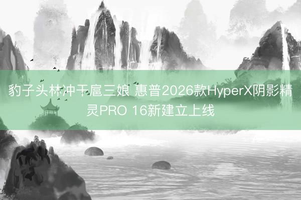 豹子头林冲干扈三娘 惠普2026款HyperX阴影精灵PRO 16新建立上线