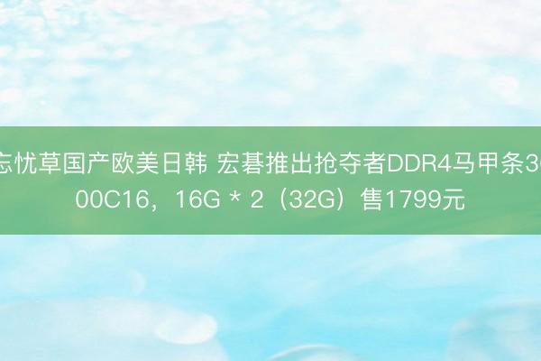 忘忧草国产欧美日韩 宏碁推出抢夺者DDR4马甲条3600C16，16G * 2（32G）售1799元