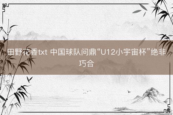 田野花香txt 中国球队问鼎“U12小宇宙杯”绝非巧合