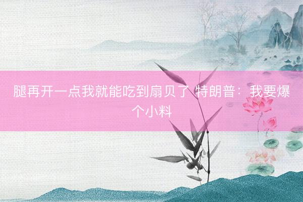 腿再开一点我就能吃到扇贝了 特朗普：我要爆个小料