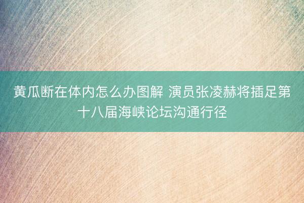 黄瓜断在体内怎么办图解 演员张凌赫将插足第十八届海峡论坛沟通行径