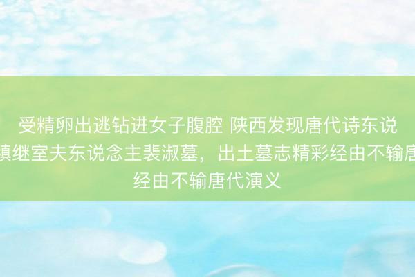 受精卵出逃钻进女子腹腔 陕西发现唐代诗东说念主元稹继室夫东说念主裴淑墓，出土墓志精彩经由不输唐代演义