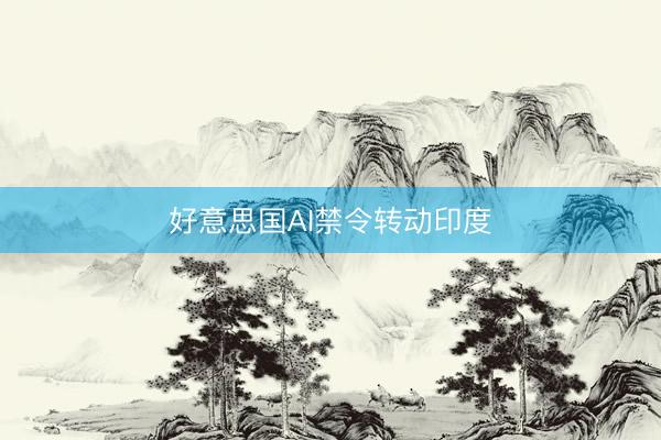 好意思国AI禁令转动印度