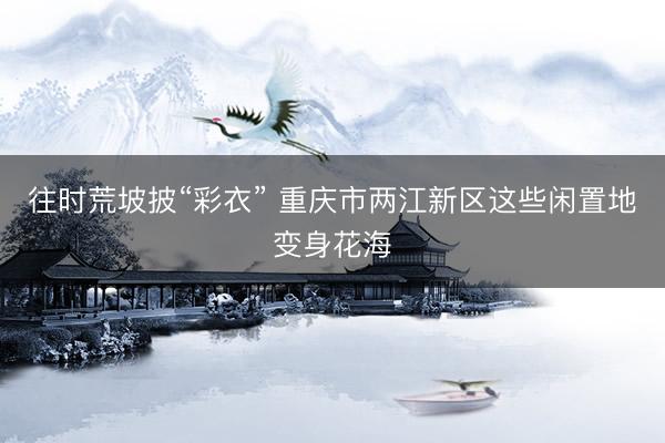 往时荒坡披“彩衣” 重庆市两江新区这些闲置地变身花海