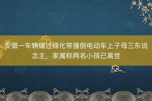 安徽一车辆碾过绿化带撞倒电动车上子母三东说念主，家属称两名小孩已离世