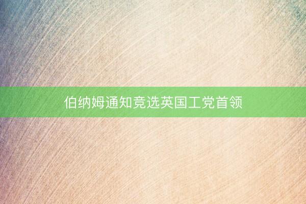 伯纳姆通知竞选英国工党首领