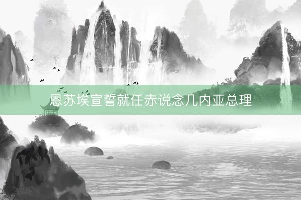 恩苏埃宣誓就任赤说念几内亚总理